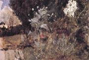 John William Waterhouse The Enchanted Garden USA oil painting artist